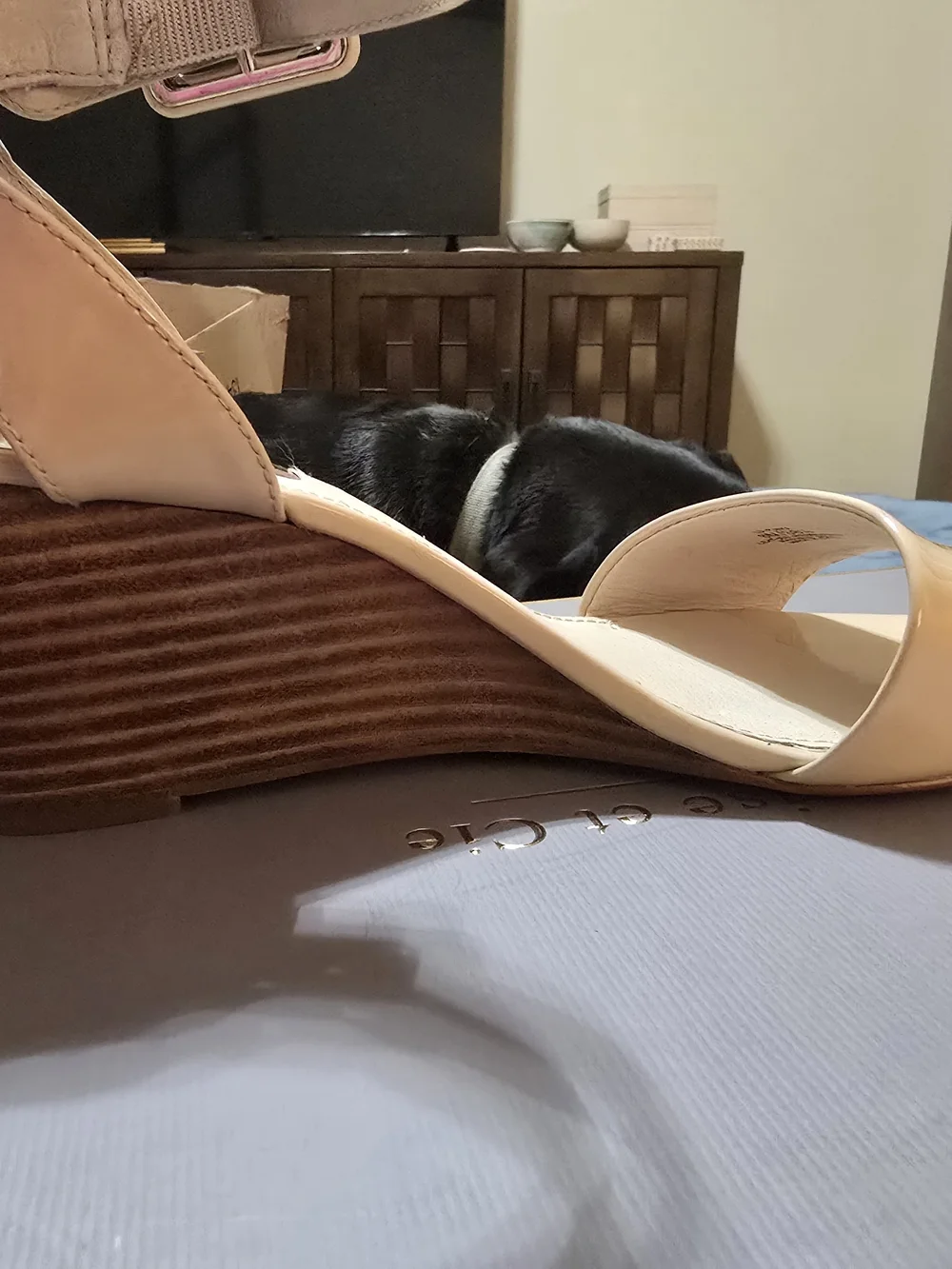 Louise et Cie Punya Nude Patent Ankle-Strap Wedge Sandals Size 8 Like New